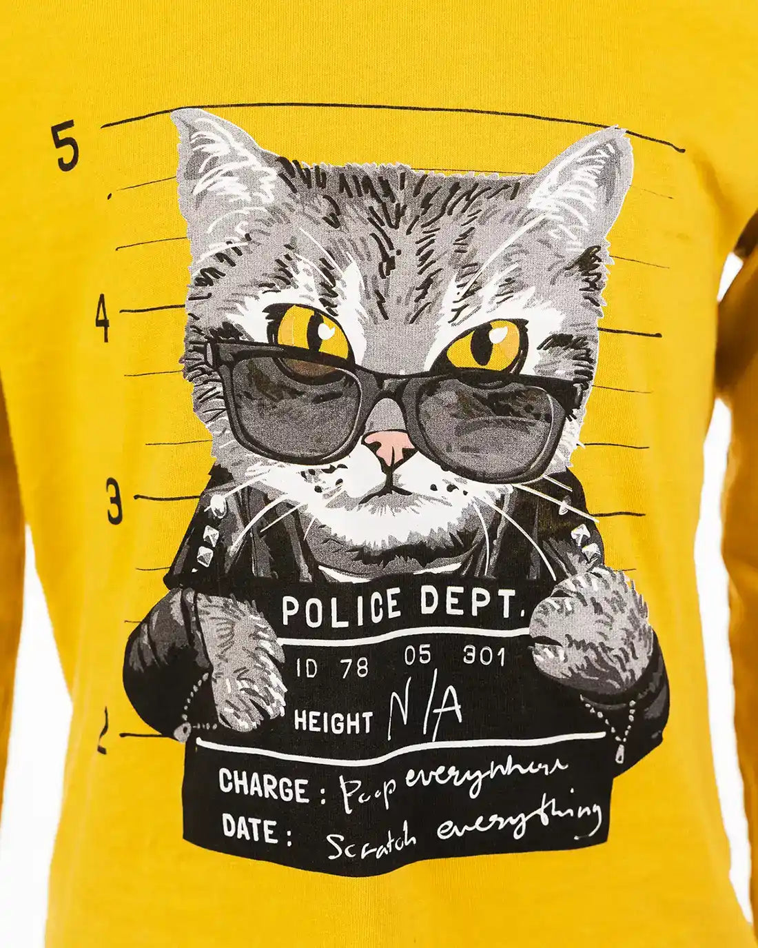 Bad Cat | Chlapčenské tričko s kapucňou