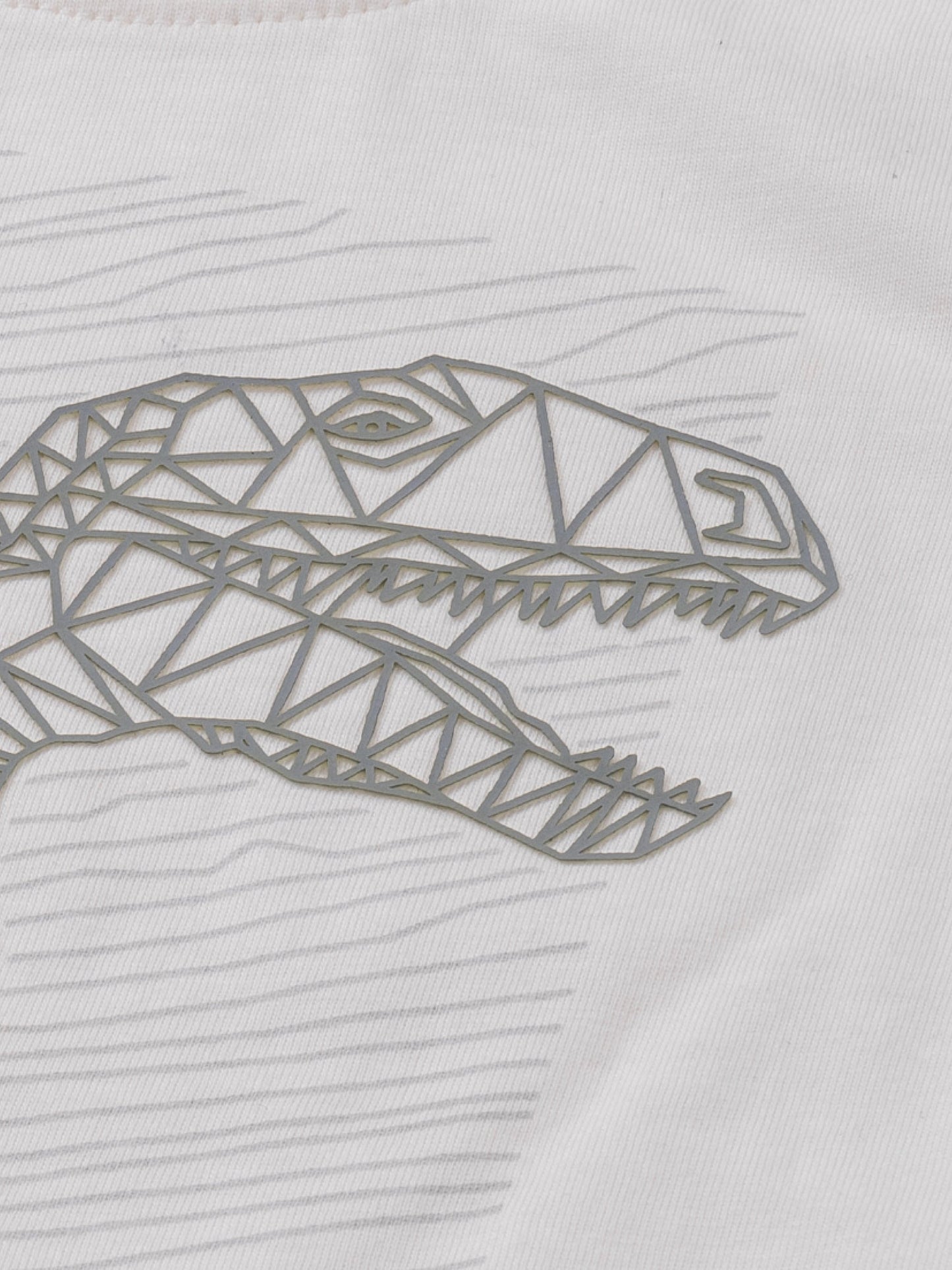 White Star Dino | Chlapčenské tričko s dlhým rukávom