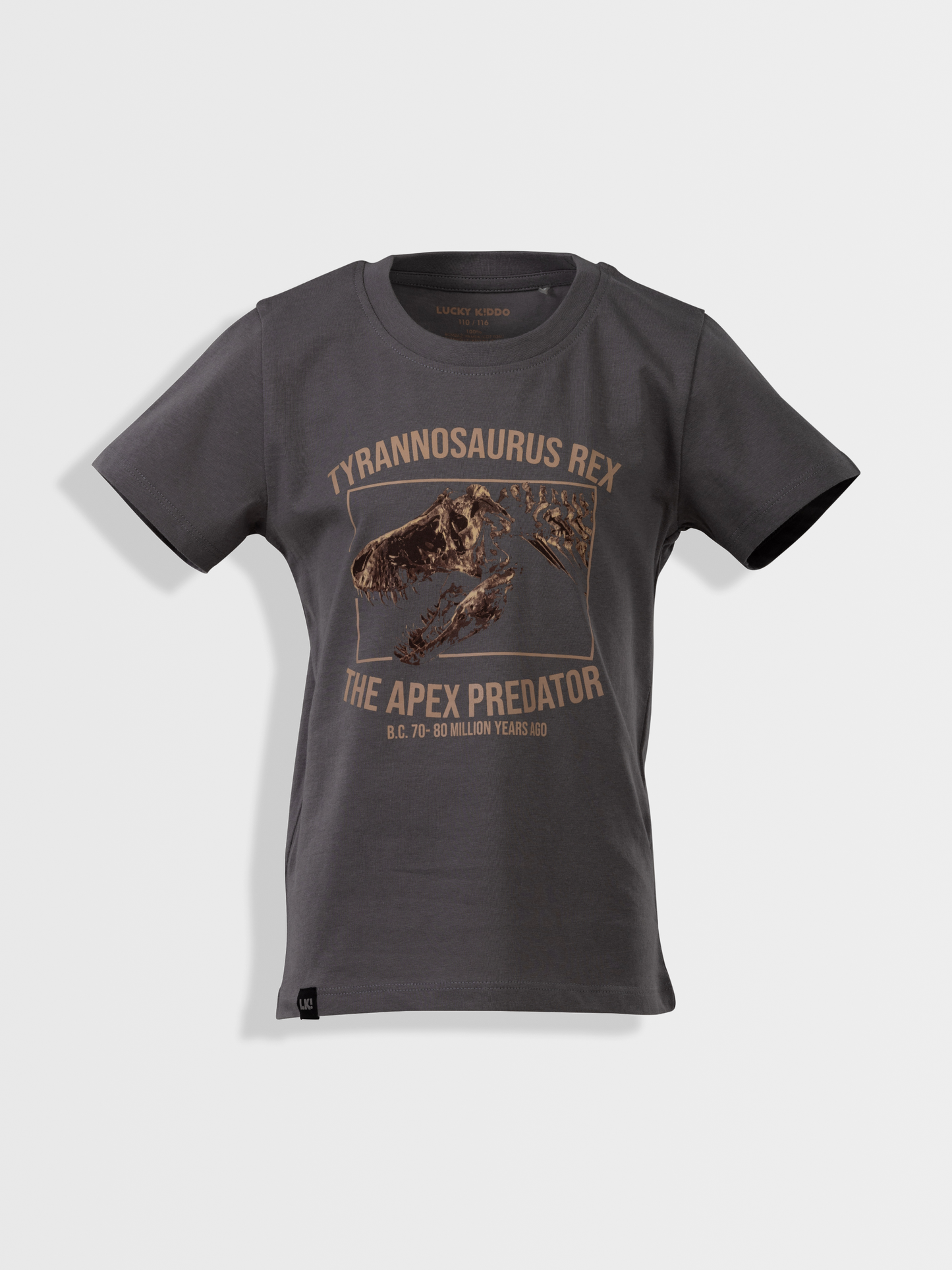 Gargoyle Grey T-Rex | Chlapčenské tričko s krátkym rukávom