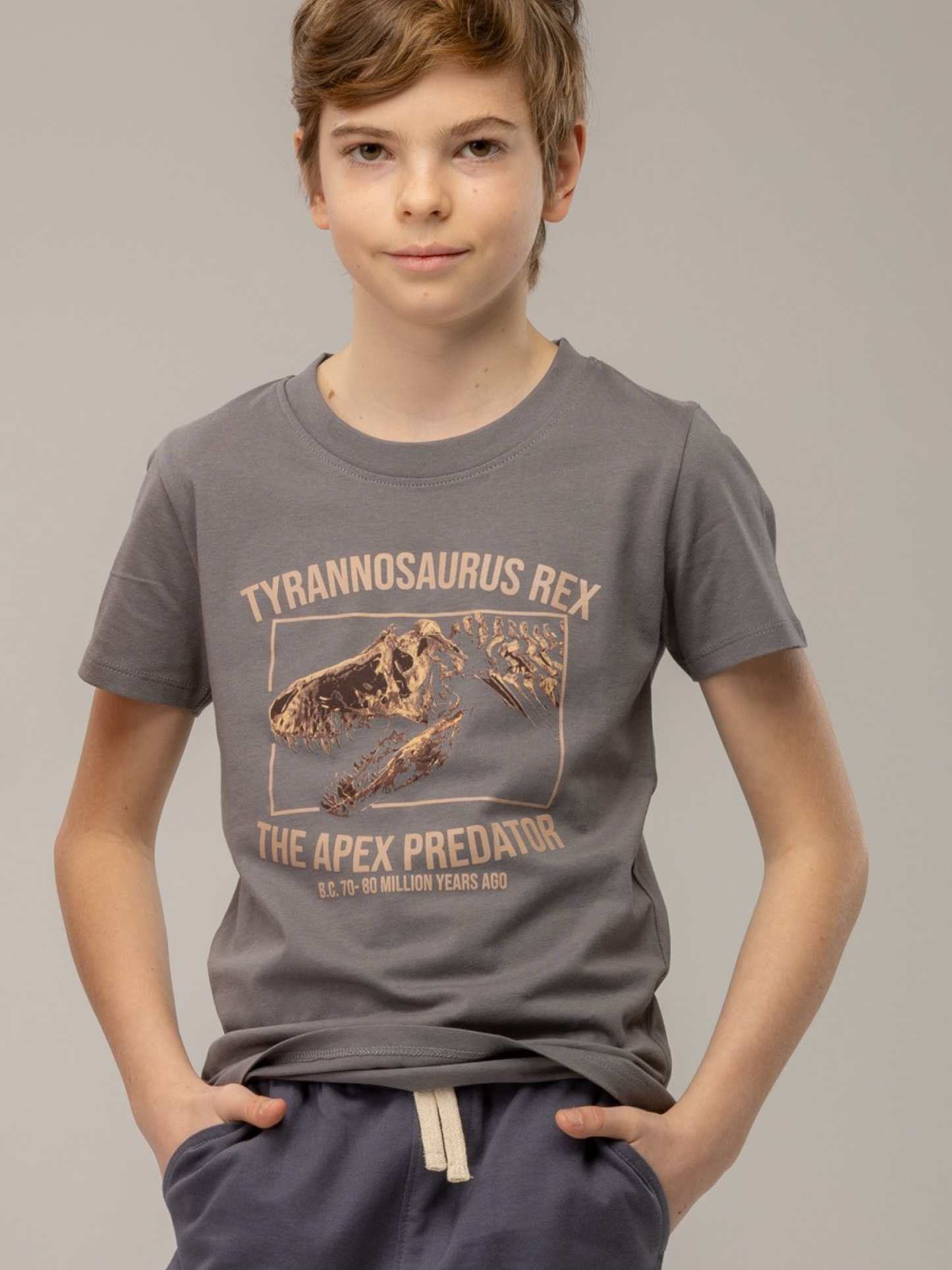 Gargoyle Grey T-Rex | Chlapčenské tričko s krátkym rukávom
