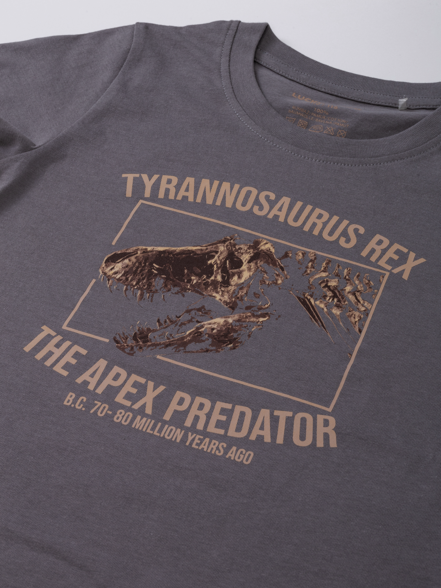 Gargoyle Grey T-Rex | Chlapčenské tričko s krátkym rukávom