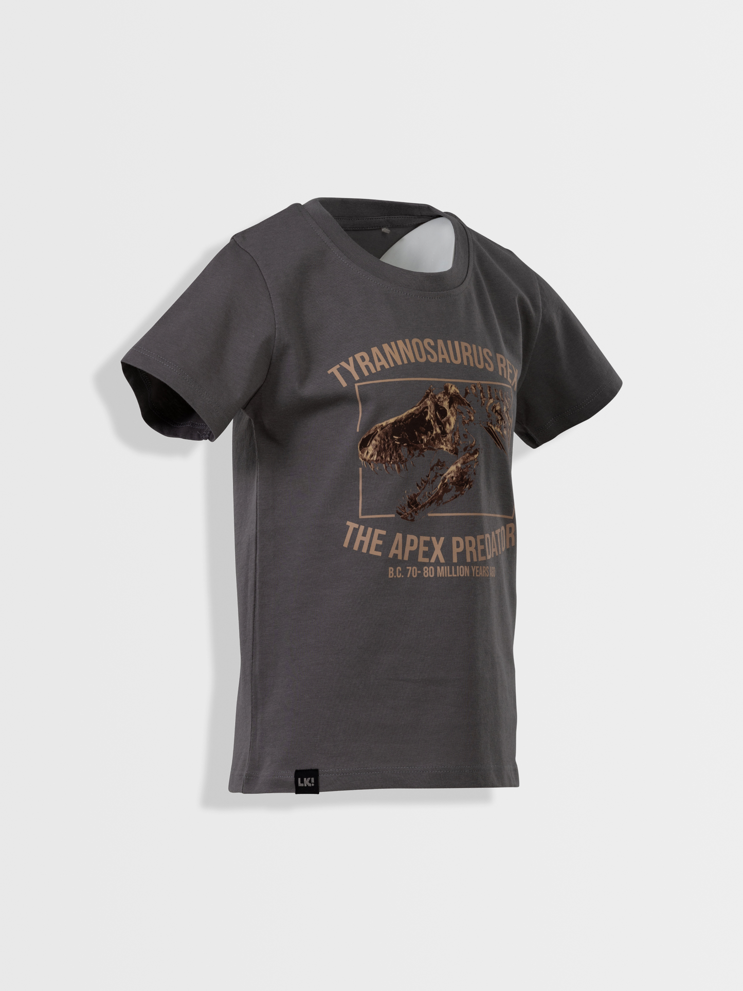 Gargoyle Grey T-Rex | Chlapčenské tričko s krátkym rukávom