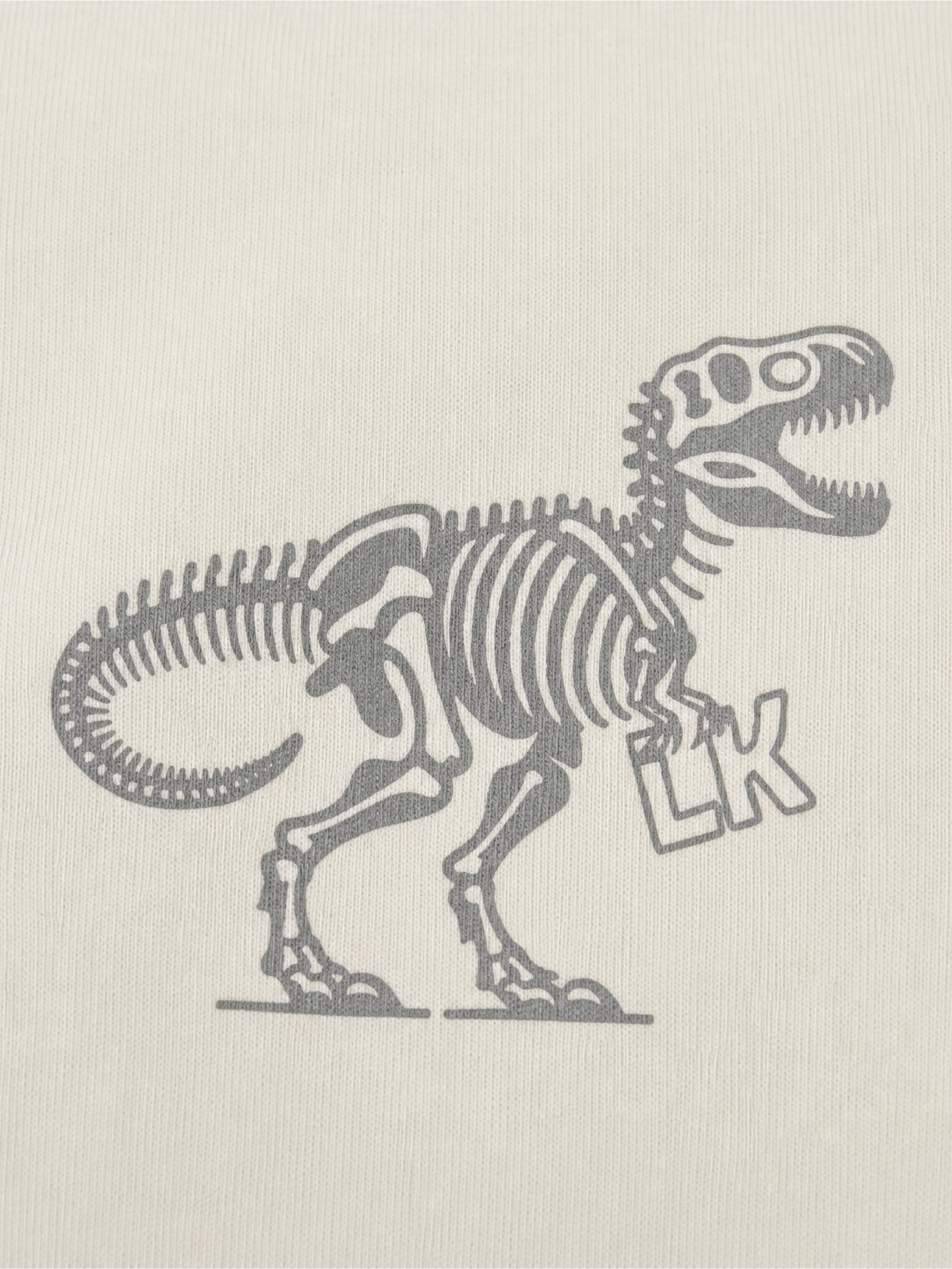 Dino Fossil Friend | Chlapčenské tričko s krátkym rukávom