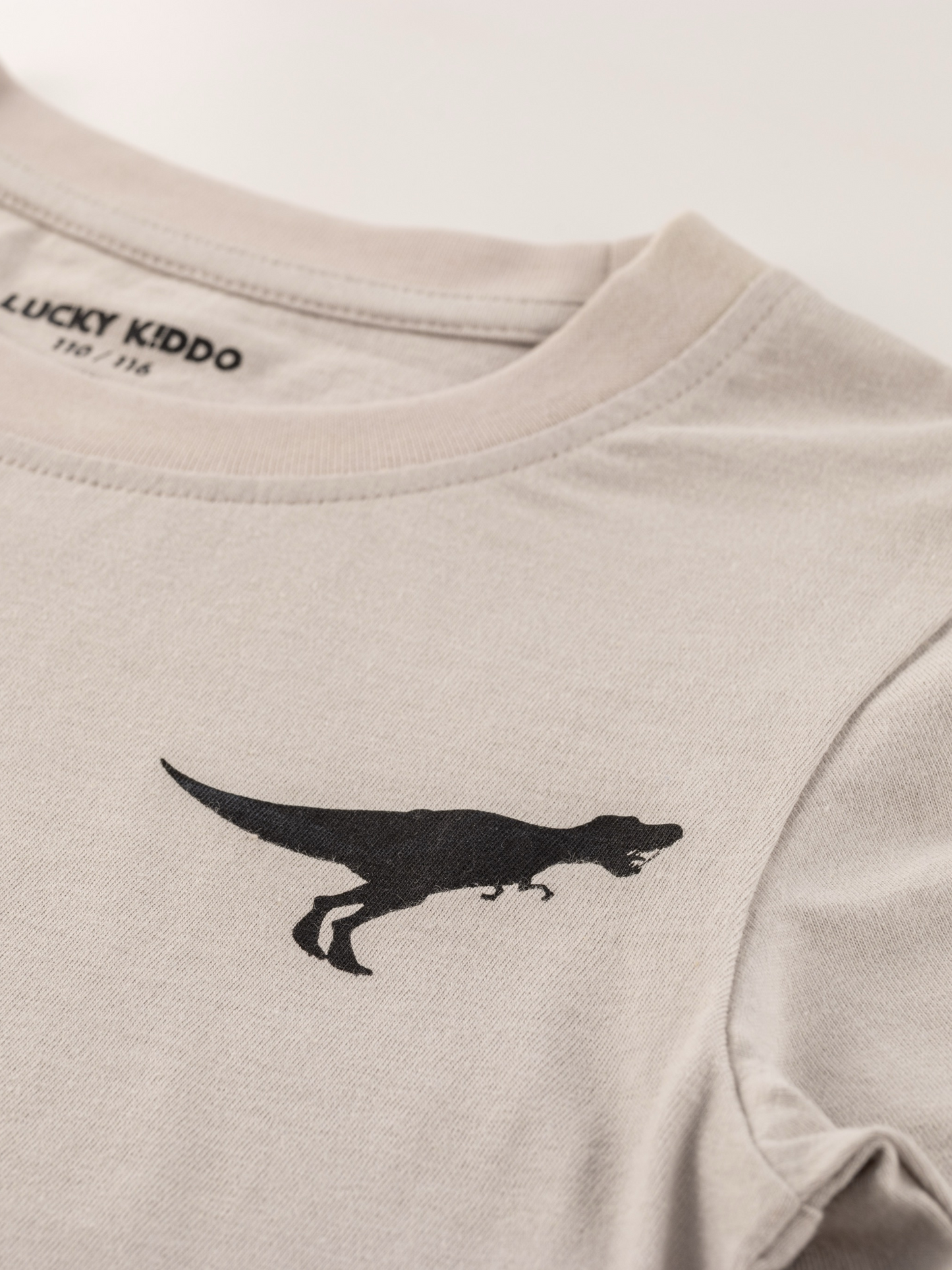 Dino Dawn | Chlapčenské tričko s dlhým rukávom