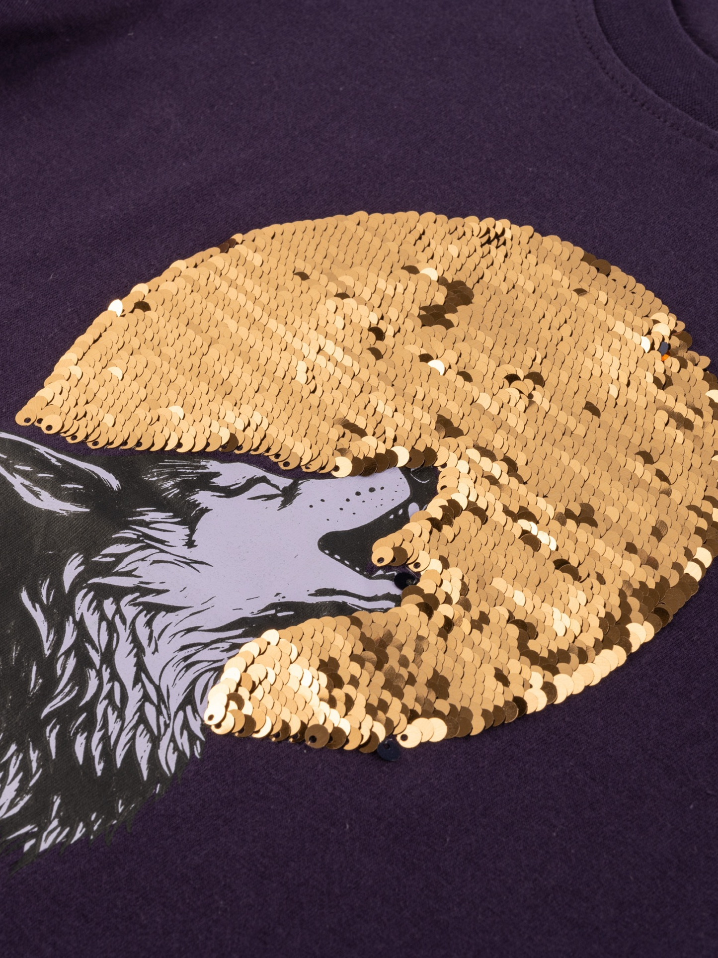 Mystic Wolf | Chlapčenské tričko s dlhým rukávom