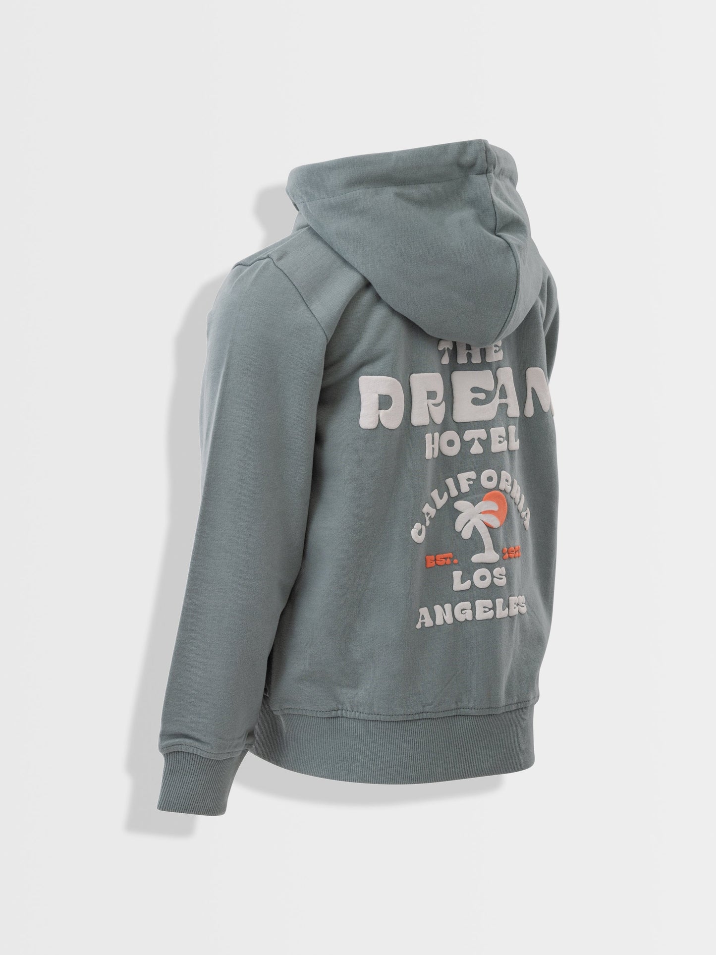 Green the Dream| Chlapčenská mikina s kapucňou