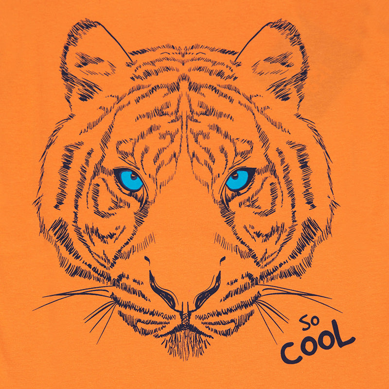 Cool Lion | Chlapčenské tričko s dlhým rukávom