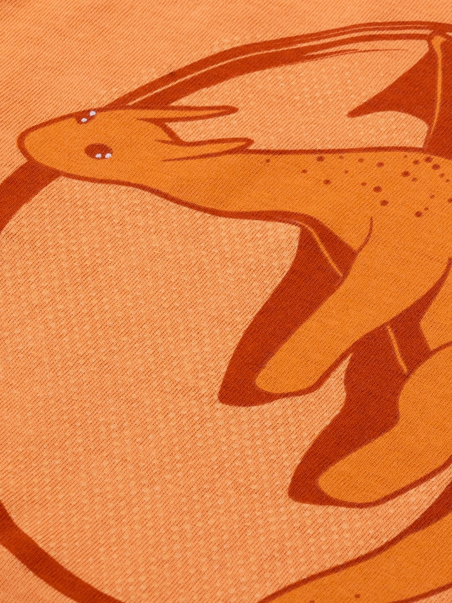 Tan Flying Dino | Chlapčenské tričko s dlhým rukávom