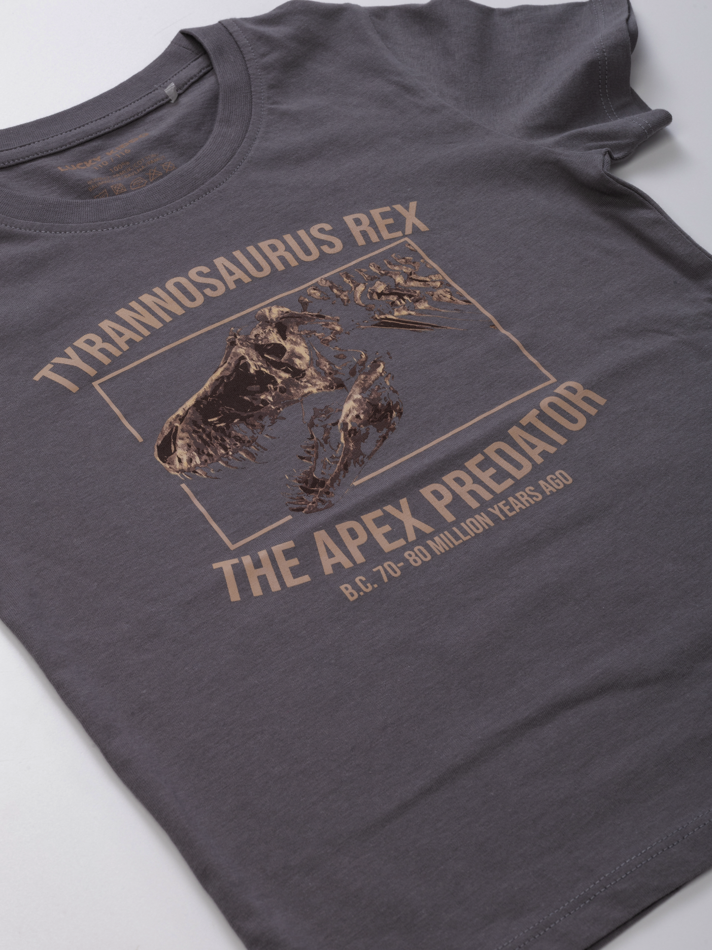 Gargoyle Grey T-Rex | Chlapčenské tričko s krátkym rukávom