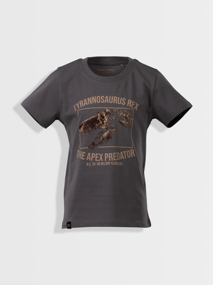 Gargoyle Grey T-Rex | Chlapčenské tričko s krátkym rukávom