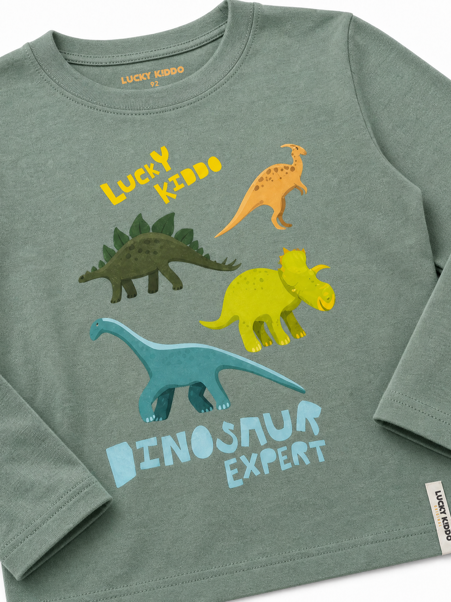 Green Dinosaur Expert | Chlapčenské tričko s dlhým rukávom - klasický strih