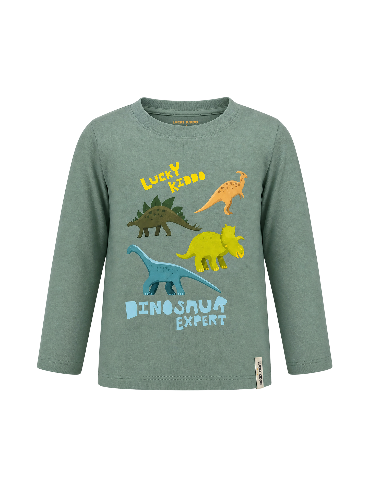 Green Dinosaur Expert | Chlapčenské tričko s dlhým rukávom - klasický strih